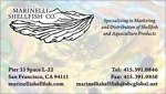 Business Card: Marinelli Shellfish