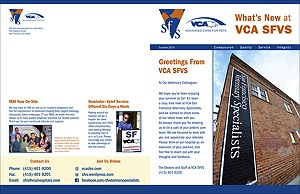 Newsletter (front): VCA SFVS